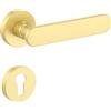 Amerdeco Maniglia per Porta Oro in Alluminio - Set PZ per Porta Blindata, Maniglia Porta Blindata Elegante