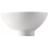 Thomas Trend Asia Scodella, Ciotola, Porcellana, Bianco, 11 cm, 210 ml, 25811