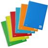 Blasetti One Color PPL - Quaderno a Spirale A4 - Tinta Unita 5M Quadretti 5mm - 6pz | Blasetti: spirale A4, carta 80gr, copertina PPL resistente, fori archiviazione, colori assortiti, conf. da 6.