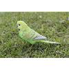 HI-LINE HiLine Gift Ltd. - Parrocchetto con piede in ferro, colore: Verde