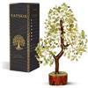 YATSKIA Albero di cristallo di giada verde fatto a mano, cristalli di guarigione e pietre preziose Reiki, portafortuna, regalo profituale, feng shui, decorazione albero della vita, 25,4-30,5 cm