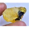 18.75 CT Naturale Tanzania Ambra Fossil Insetto Inclusione FACET Certificato
