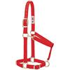 Weaver Equine Weaver Leather, Cavezza basica regolabile in nylon, rosso, 2,5 cm, per cavalli medi