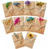 10 biglietti di auguri con motivo, in pizzo, 16 cm x 16 cm, 230 g/m², diversi design, con buste, 10 pezzi