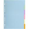 Exacompta - Cod. 1606E - Confezione da 50 divisori in cartoncino riciclato color pastello da 170g/m² con 6 linguette neutre - Formato A4 - Dimensioni 22,5X29,7cm - Forever