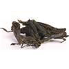 Bongivoanni Farine e Bontà Naturali Alga Wakame Foglie Intere 20g - 100% Naturale, Ricca di Iodio, Calcio e Vitamine B. Alga Marina Essiccata Premium per Zuppe, Insalate e Cucina Asiatica.