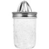Amosfun Spremiagrumi Manuale in Acciaio Inox Home Cucina Citrus Juicer Compatto 16.00X9.00X9.00Cm Facile Da Pulire Per Limoni Arance E Uso Domestico
