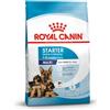 Royal Canin Maxi Starter Mother & Baby Dog - Royal Canin - Maxi Starter Mother & Baby Dog - 15KG