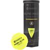 Raquex Palline da padel Elite, tubo da 3, due opzioni di velocità, palline da padel Elite, Standard Speed. Elite: Pace Padel Pro per un gioco più veloce
