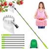 Nexstron Raccogli Frutta Con Borsa per Grembiule - 2,8 m/9,2 ft Strumento Con Manico Telescopico, Asta Di Collegamento in Acciaio Inox E Sacchetto Di Immagazzinaggio, Picker per Apple Limone Cherry