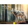 Edition Seidel Calendario Premium Lupi Chef nel distretto 2026, formato DIN A4, calendario da parete con animali, animali selvatici, rudel lupo foresta, natura melanie viola