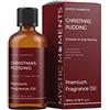 Mystic Moments Olio di fragranza di budino di Natale - 100 ml - Perfetto per saponi, Candele, Bombe da Bagno, bruciatori di Olio, diffusori e Articoli per la Cura della Pelle e dei Capelli