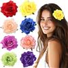 Hifot Hawaii Fiore per Capelli Donna, Fermagli Capelli Bambina, Rose Colorate Forcine per Capelli, Clip Accessori Capelli Cerimonia per Sposa Ragazze Festa Spiaggia Nozze Estate 8 Pezzi