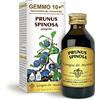 Dr Giorgini Prugnolo 100ml Analco Gem 10+