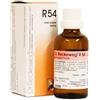 DR.RECKEWEG R54 gocce 22ml - DR.RECKEWEG - 909462665