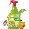 SOLABIOL Olio Bianco Vegetale di SOIA Pronto Uso. Potenziatore delle difese delle piante da attacchi degli insetti come afidi, cocciniglia. 1 LT Pronto Uso