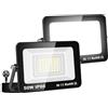 Willpower 2PCS Faretto LED Esterno 50W 5000LM, Faro LED con Spina Proiettore LED 6000K Bianco IP66 per Garage Giardino Cortile Patio Piazza Officina