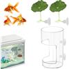 HINGTAI Vassoio per cibo per acquari con ventose, dotato di due piccole foglie di loto monostrato, accessori per tubi di alimentazione, scatola di allevamento per acquario, acquari rotondi e accessori per
