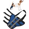 CAPASTEC Supporto Zampa Posteriore Destra Cane Blu 1 Pc Recupero SBR | XXS, Circ. Zampa 12-14cm, Altezza 13cm, Articolare, Traspirante, Antiscivolo, Post-Operatorio, Protezione Dolori