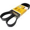 CONTITECH 4PK1000 Cinghia Poly-V