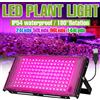 NJHIKG USB DC5V LED Coltiva Le Luci Spettro Completo Coltivazione Lampada Idroponica 24/50/96/144led per Piante in Vaso di Fiori Growbox Verdure
