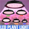 CanLing 250W LED Coltiva La Luce Spettro Completo Pianta Lampada Idroponica Spina USA/UE Per Interni Cactus In Vaso Serra Tenda Frutta Verdura