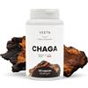 Chaga: fungo medicinale (120 Capsule - Vegan)