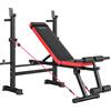 SPORTNOW Panca Fitness con Rack per Pesi, Schienale e Sedile Regolabili, Dip Station, Capacità 420 kg | Aosom Italy