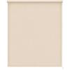 Estoralis Gove Tenda a Rullo Traslucida Liscia, Poliestere, Taupe, 110 x 230 cm