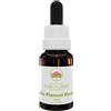 GREEN REMEDIES SpA Little Flannel Flower Essenza Singola, 15 ml