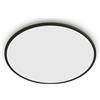 PHILIPS LED SuperSlim Lampada da Esterno (15 W), Luce Bianca Fredda, Protezione IP54, Nera, 25 cm