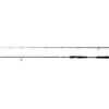Abu Garcia Beast X Spinning Rod, Freshwater Angler Fishing for Pike Perch & Zander, Strong Leightweight & Versatile, Green, Fast Ambidextrous Carbon Rod