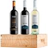 MASI TUPUNGATO Confezione esclusiva Masi Tupungato | CORBEC 2019 Rosso di Argentina BIO, PASSO DOBLE 2021 Rosso di Argentina BIO, PASSO BLANCO 2023 Bianco di Argentina BIO | 3x750 ml | Confezione in legno