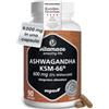 Vitamaze - amazing life Ashwagandha KSM-66 Bio - Alto Dosaggio min. 5000 mg di Ashwagandha da 500 mg di Estratto (10-15:1), 90 Capsule Vegane per 3 Mesi, Altamente Biodisponibile, Vitamaze