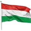 PHENO FLAGS Bandiera Ungheria 90x150cm - ungherese - resistente alle intemperie con occhielli in ottone - 100% poliestere - cuciture doppie robuste e colori vivaci - per gli amanti delle bandiere