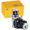 HELLA 6NU 014 864-071 Valvola ricircolo gas scarico-EGR - elettrico