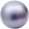 Fortitude Sports Swiss Ball 55cm con Pompa | Esercizio Palla con Pompa per Yoga, Fitness, Pilates, Balance Gym | Anti Burst, Anti Slip (Blu)