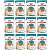 ROYAL CANIN 12X85G Royal Canin Feline AGEING 15+ GRAVY