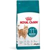 Royal Canin Cat Sterilised Ageing +11 - 2KG