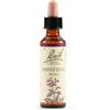 Schwabe Pharma - Impatiens Balsamina Fiori Di Bach Gocce Confezione 20 Ml