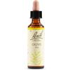 Schwabe Pharma - Fiori di Bach Olive Stanchezza e Recupero Confezione 20 Ml