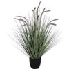 DKD Home Decor Impianto Ornamentale, Standard