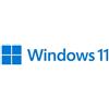 Microsoft Windows Pro 11 PL Box USB a 64 bit