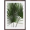 Komar Cornice portafoto in legno grigio pietra con poster Art Palmtree Leaves, dimensioni: 50 x 70 cm, decorazione da parete, palma, foglie