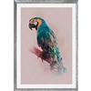 Komar Cornice portafoto in legno pietra argento con poster artistico Animals Paradise Parrot come set - Dimensioni: 50 x 70 cm - Decorazione da parete, pappagallo, uccello