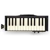 Hammond Armonica A Bocca HAMMOND Ereaco PRO-24B Modello Autobus Strumento Musicale NUOVO