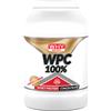 WHY SPORT WPC 100% WHEY 2 KG COOKIES & CREAM Proteine Concentrate del Siero del Latte