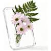 Wagoodter Vaso di acrilico trasparente, piccolo vaso decorativo per tavolo,Ideale per piante idroponiche, decorazioni di tavolo, matrimoni e occasioni speciali (Transparente)