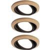Paulmann ENC Kit Lanati Angolo orientabile LED 1x6W 470lm 230V Legno Nero opaco 92237