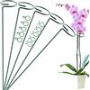 OMATSBEH Confezione da 5 pali di supporto per piante da 40 cm, da giardino a stelo singolo, per amaryllis, con 10 clip per piante, per pomodori, orchidee, giglio, peonia, rosa (40 cm)